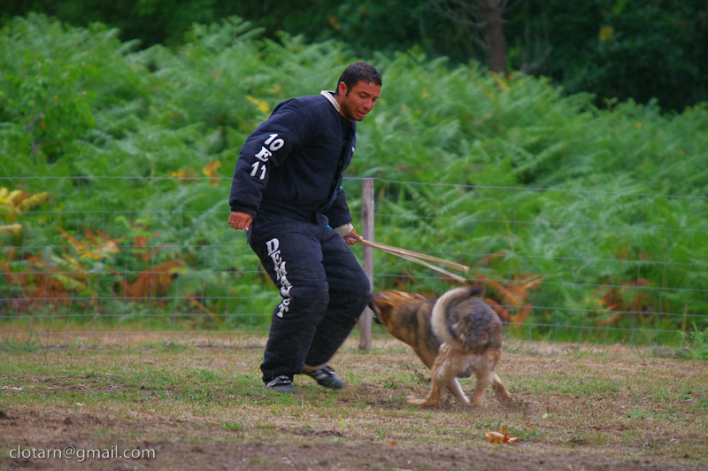 CX en ring 3